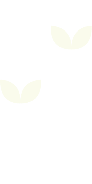 Lá